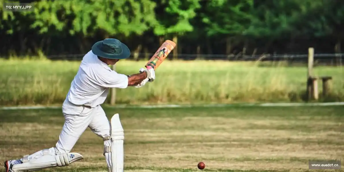 南宫NG28🥊每一次对抗，都是成长的勋章；每一次坚持，都是自我的超越！